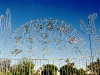 dog-park-desert-reflections-1999-a1