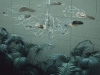 public-art-kinetic-river-feathers-1996-2