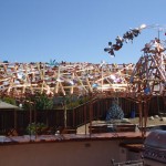 Copper Shack- SURF SHACK-1