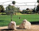 dog-park-fence-over-rock2.jpg