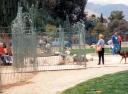 dog-park-interaction45.jpg