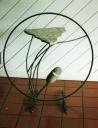 table-ring-creek-1996.jpg