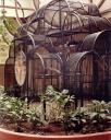 bird-avairy-arden-fair-1983.jpg