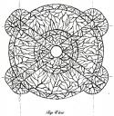 pergola-branches-one-top-view.jpg