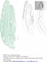 glass-etch-obsidian-tools-study-1.jpg