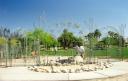 main-gates-desert-reflections-palm-springs-dog-park-1999-1.jpg