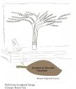 trellis-concept-honor-wall-tree-1.jpg