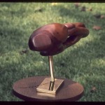 Freeform Wood Carving- METAMORPHOSIS OF A SEA SURPENT 1973 H-18in W- 25in D- 8in-3